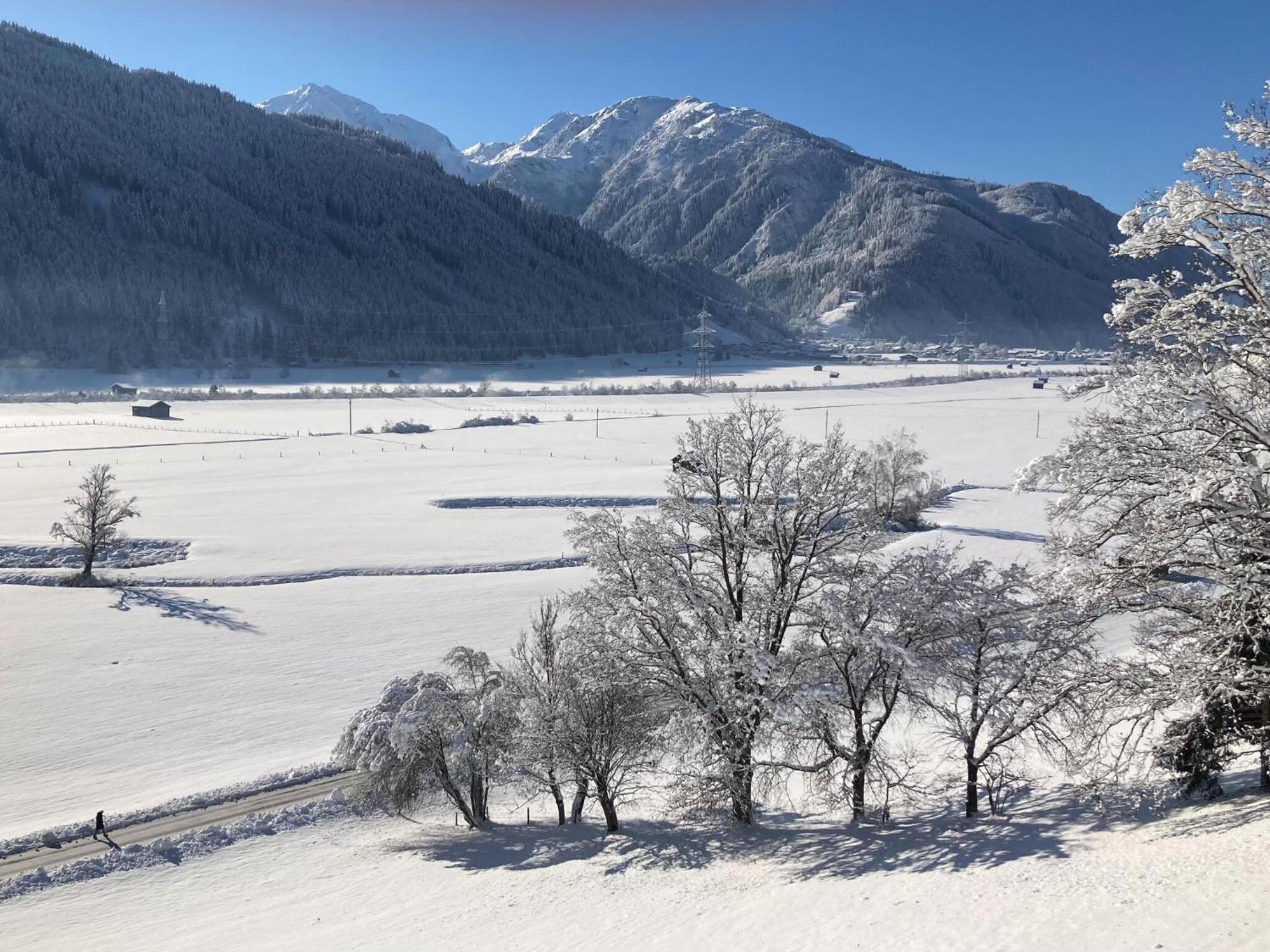 מיטרסיל Holiday Apartment In Pinzgau With A Large Terrace מראה חיצוני תמונה